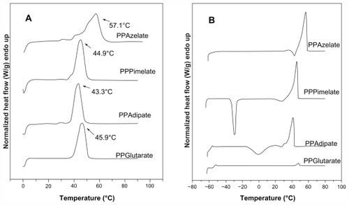 Figure 1 Differential scanning calorimetry thermograms of the studied aliphatic polyesters. (A) First scan of polyesters as received and kept at room temperature for 2 months, and (B) a second scan of polyesters after quenching.Abbreviations: PPAz, poly(propylene azelate); PPPim, poly(propylene pimalate); PPGlu, poly(propylene glutarate); PPAd, poly(propylene adipate).