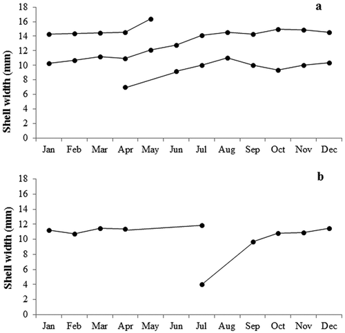 Figure 5. (a) Gibbula umbilicaris and (b) G. ardens growth curves of the identified cohorts, obtained by considering pooled data for all the sampled depths. The dots represent the monthly modal size of width-frequency distributions.