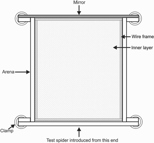 Figure 2. Testing arena for Experiment 2 (not drawn to scale), as seen from above, made from transparent Perspex. Glass lid not shown. All side walls were held in place with plastic clamps.