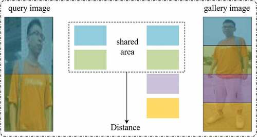 Figure 3. The similarity measure process of query image and gallery image. The similarity measurement is done by focusing on the shared visible region between the query image and the gallery image, and the non-shared region is not accepted at this stage.