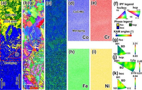 Figure 11. Texture development in the transition zone of the HT3 sample: (a) phase map showing fcc, bcc and hcp structures, (b) inverse pole figure colour map, (c) kernel average misorientation maps, (d,e,h,i) EDS maps for Co, Cr, Fe and Ni, respectively, (f) corresponding legends for a–c, (g) IPF representation of fcc grains, (j) IPF representation of hcp grains and (k) IPF representation of bcc grains.