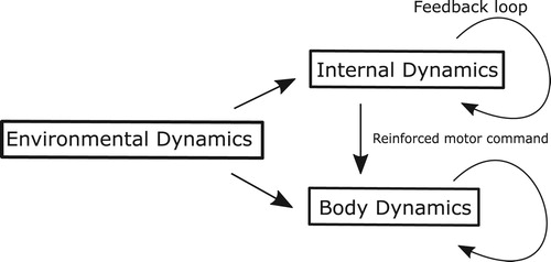 Figure 3. Schematic illustration of the parallel model based on anticipating synchronization. Environmental dynamics drives both internal dynamics and body dynamics. Internal dynamics with the feedback loops will reinforce the original motor commands. Note that the internal dynamics is not internal models of environmental or body dynamics, just a band of oscillators. We discussed the possibility of using recurrent neural networks (RNNs) as internal dynamics.