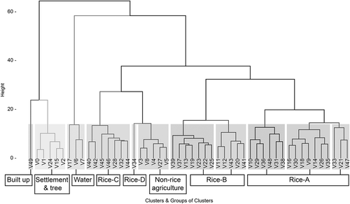 Figure 6. Dendrogram result from HCA clustering of the temporal profile of VH polarization Sentinel-1A time series