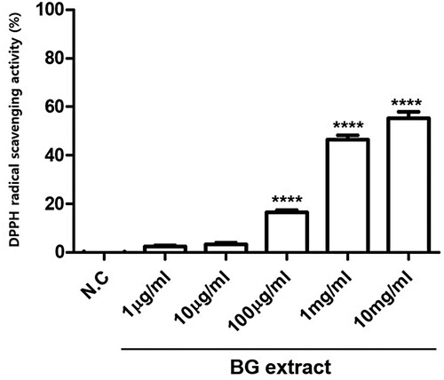 Figure 7. ROS scavenging activity was measured using the DPPH reagent. BG extract was treated with 0.001, 0.01, 0.1, 1, and 10 mg/mL DPPH reagent, and 100% EtOH was used as a negative control (N.C). The results are from three independent experiments. Mean ± SEs. ****P < 0.0001. BG: Black garlic. DPPH: 1,1-diphenyl-2-picrylhydrazyl.