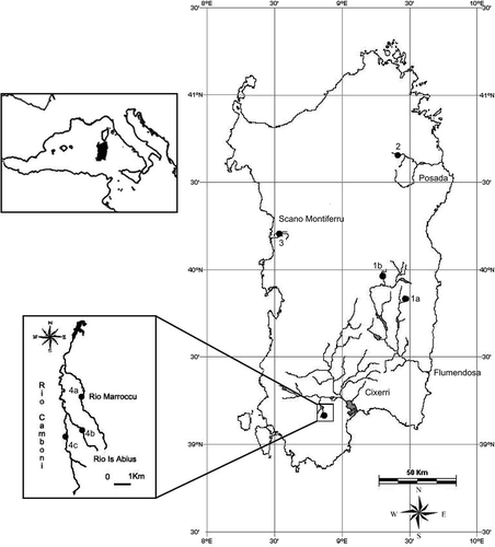 Figure 1. Map of the river basin and sampling localities. 1a, Rio Ermolinus; 1b, Rio Su Fruscu; 2, Rio Altana; 3, Rio Mannu; 4a, Rio Marroccu; 4b, Rio Is Abius; 4c, Rio Camboni.
