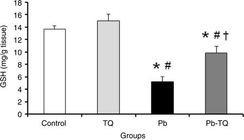 Fig. 2 Effects of lead (Pb), thymoquinone (TQ), and their coadministration on the kidney level of reduced glutathione (GSH) in rats after five weeks. Values are expressed as mean±SEM of eight animals. Student's t-test: *p<0.05 versus control; # p<0.05 versus TQ-treated rats; † p<0.05 versus Pb-treated rats.