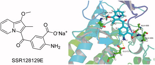 Figure 2. Structure of SSR128129E and molecular docking model of SSR128129E and FGFR1.