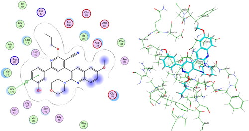 Figure 11. 4f, ligand–enzyme interaction 2D (left) and 3D (right) inside PIM-1 kinase active site.