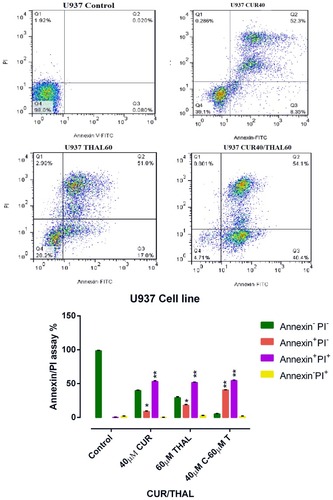 Figure 5 Flow cytometry analysis. U937 cells treated with CUR (40 µM) and THAL (60 µM) and their combination. Necrosis and apoptosis effect of CUR and THAL and their combination in KG-1 cells after 48 hrs. Data mean ± SE of three independent experiments. Statistical signiﬁcance was deﬁned at *P < 0.05 and **P < 0.01 compared to corresponding untreated controls.