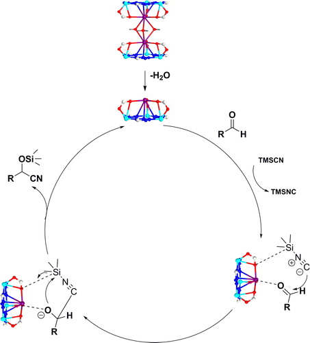 Scheme 1. The mechanism of 1a carbonyl compounds catalytic cyanation was proposed.