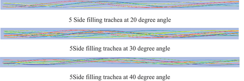 Figure 11. Polyphase flow trace diagram at different angles.