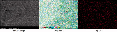 Figure 1. Field emission scanning electron microscopy (FESEM) micrographs for morphology studied and energy dispersive X-ray spectroscopy (EDX) for elemental map-ping analyses and materials composition of the Ag-NPs coated on zeolite.