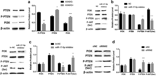 Figure 5. The protein expression difference PTEN, p-PTEN, and PI3K under different conditions.