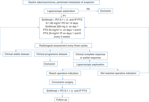 Figure 1. DRAGON-09 study design.IP: Intraperitoneal; iv.: Intravenous; PTX: Paclitaxel.