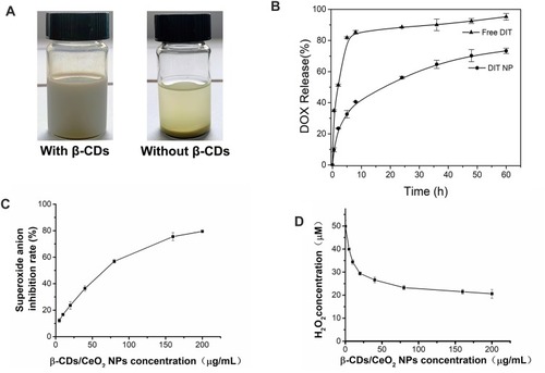 Figure 2 (A) Photographs of 15 mg/mL CeO2 with or without β-CDs; (B) The in vitro release profile of dithranol from β-CDs/CeO2 NPs; suspension of superoxide anions (C) and scavenging activities of H2O2 (D) by β-CDs/CeO2 NPs.