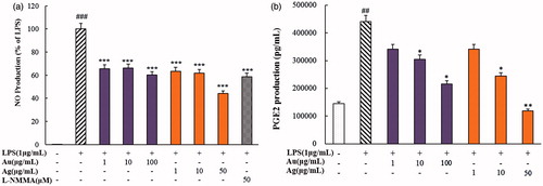 Figure 9. Effects of CP-AuNps and CP-AgClNps on LPS-induced expression of nitric oxide (NO) (a) and PGE2 production (b) in RAW 264.7 cells. Notes: The experiment was repeated at least three times. Error bars represent the standard deviation (n ≥ 3). ##.001< p ≤ .01 and ###p ≤ .001 versus control cells; *.01< p ≤ .05, **.001< p ≤ .01 and ***p ≤ .001 versus LPS-treated cells.