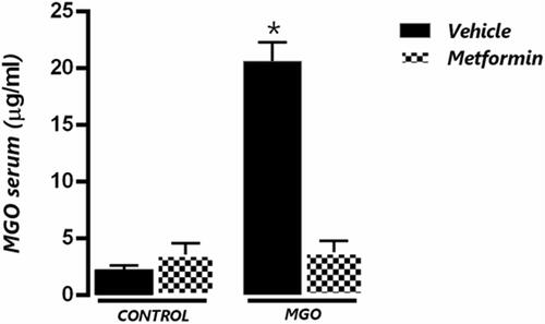 Figure 6 Serum levels of methylglyoxal (MGO) in control (CT) and MGO-treated mice in association or not with metformin (MET). Mice were treated or not with 0.5% MGO in the drinking water for 12 weeks, and metformin was given (300 mg/kg) in the last two weeks of MGO treatment. *P < 0.05 compared with MGO+MET group.