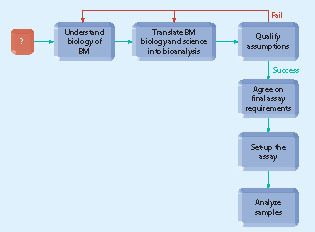 Figure 3. Decision flow for biomarker method establishment and sample analysis: new biomarker assay or platforms.BM: Biomarker.