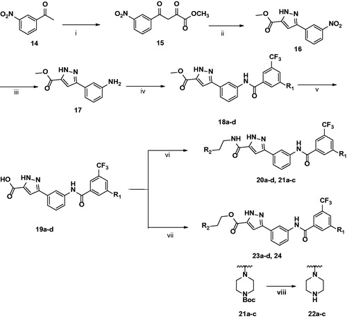 Scheme 1. Synthesis of 3-carbonyl-5-phenyl-1H-pyrazole derivatives. (i) Diethyloxalate, NaOMe, MeOH, rt, 24h; (ii) NH2NH2·H2O, AcOH, rt, 4 h; (iii) H2, Pd/C, MeOH, rt, 30 min, 98%; (iv) benzoic acid, HATU, TEA, THF, rt, 24 h; (v) 1 M NaOH, THF, reflux, 2h; (vi) Alkylamine, HATU, DIPEA, THF, rt; (vii) Alkylalcohol, EDCI, HOBt, DMF, rt; (viii) TFA, DCM, rt, 30 min.
