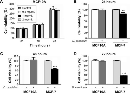 Figure 4 Dendrobium candidum does not affect MCF10A cell growth and survival.