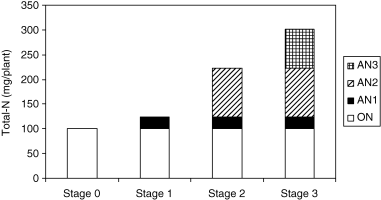 Figure 2  Utilization of nitrogen (N) at different stages of growth. AN, absorbed nitrogen; ON, original nitrogen.