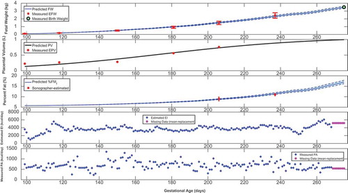 Figure A2. Time-domain response (foetal weight, placental volume, and foetal % body fat) with energy intake and physical activity for a representative HMZ control participant (participant D) (simulation starts at the day of first ultrasound measurement and ends at birth).