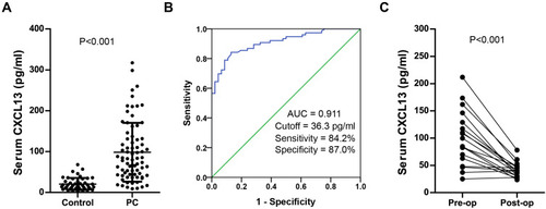 Figure 2 (A) Serum CXCL13 level in preoperative PC cohort (n=76) and healthy male control (n=46). (B) ROC curve analysis on the diagnostic value of serum CXCL13 level in PC patients. (C) Serum CXCL13 level in the matched preoperative/postoperative PC cohort (n=18).