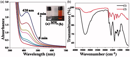 Figure 1. (a) UV-vis spectral plot of AgNP-E. scaber synthesised by microwave irradiation, the photograph in the inset shows the colour change on nanoparticles formation, (b) FT-IR spectra of (1) E. scaber and (2) AgNP- E. scaber.