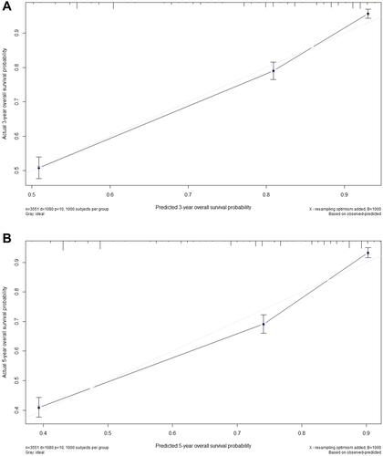 Figure 5 Calibration curves for overall survival of malignant skin cancer patients.