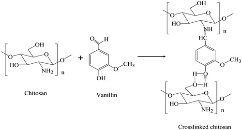 Figure 1. Scheme for the preparation of chitosan nanoparticles.