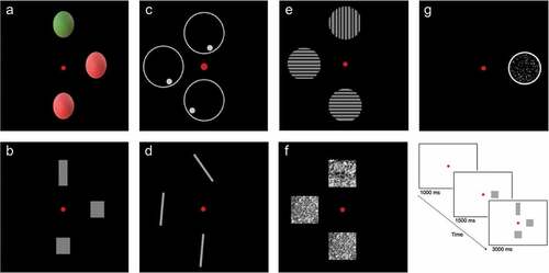 Figure 1. Examples of stimulus-pictures used to assess the perception of (A) color, (B) shape, (C) location, (D) orientation, (E) contrast, (F) texture and (G) correlated motion. In the bottom right, a schematic overview of the task assessing shape perception is presented.