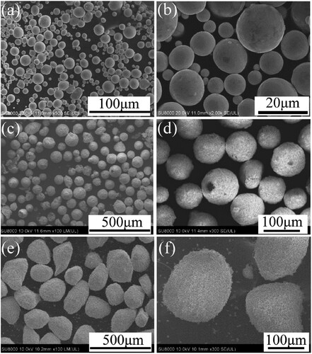 Figure 2. SEM images of raw powders. (a) and (b) Ti, (c) and (d) β-TCP (S), (e) and (f) β-TCP (B).