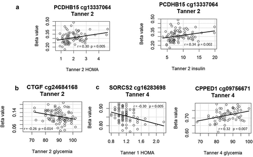 Figure 3. A scatter plot of the Spearman correlation between methylation beta value at (a). cg13337064 (PCDHB15) at T2 and HOMA or insulin at T2. (b). cg24684168 (CTGF) at T2 and glycemia at T2. (c). cg16283698 (SORCS2) at T4 and HOMA at T1. d. cg09756671 (CPPED1) at T4 and glycemia at T4.