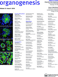 Cover image for Organogenesis, Volume 12, Issue 4, 2016