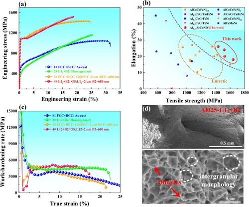 Figure 3. (a) Tensile engineering stress–strain curves, (b) comparison of the mechanical properties of Al025 HEA with those of existing dual-phase HEAs, (c) strain-hardening rate curves, (d) SEM images of the fracture surfaces of 4# Al025 HEA.