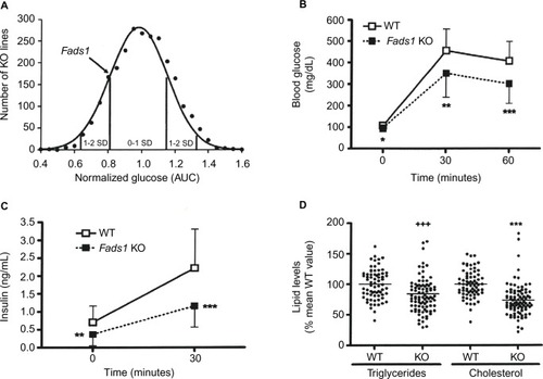 Figure 5 Improved OGTT and fasting serum lipid measurements in Fads1 KO mice.