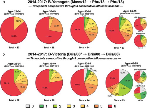 Figure 4. Seropositivity over multiple influenza seasons. One hundred and seventy-seven volunteers that took part in all three consecutive seasons (2014–2015, 2015–2016, and 2016–2017) were assessed for seropositive titers to the (a) Yamagata and (b) Victoria components of the vaccine at day 0 and day 21. Each volunteer was scored 0–6 according to their seroprotection status at each of the 6-time points analyzed (days 0 and 21 in all 3 years). Subjects in each age group that had HAI titers less than 1:40 at all 6-time points were assigned a value of “0”. Subjects with a HAI titer of 1:40 or greater at 1/6 time points were categorized as a “1” and so forth until “6” represents those that had a HAI titer of 1:40 or greater at 6/6 timepoints. The n-value for each age group is listed beneath each pie chart. The 65–85 y.o. group is shown as a collective and further divided based on receivers of high dose (HD) trivalent vaccine versus the standard dose (SD) quadrivalent vaccine. *Note: 2014–2015 season was with a trivalent vaccine that included no Victoria component, but data against the WHO-recommended strain is shown for consistency.