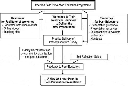 Figure 2. Programme components and the process undertaken to train peer educators to deliver the education.