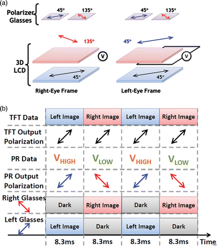 Figure 2. (a) Polarization states and (b) time multiplexing of the proposed 3D system.