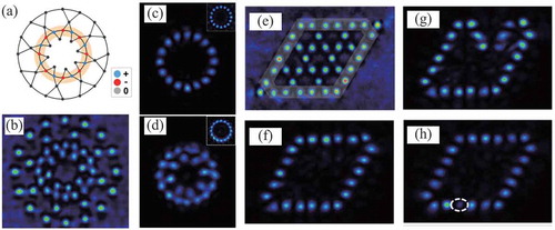 Figure 4. (a) The kagome lattice in the Corbino geometry. (b) Experimental realization of (a) in the photonic lattice. (c) Observation of the non-contractible loop state. With the out-of-phase configuration, the initial state propagates along z-direction without any transverse dissipation. (d) An initial state with the in-phase condition is not an eigenmode. (e) A finite kagome lattice with the open boundary condition. (f) Experimental realization of the robust boundary mode. The robustness of the robust boundary mode is tested by adding (g) a compact localized state, and (h) a defect. These figures are adapted from [Citation64]