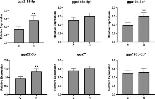 Figure 6. qPCR of candidate differentially expressed miRNAs in faecal material from chickens that were uninfected (control, C, n = 4) or E. tenella-infected with high pathology (lesion score 3, H, n = 5). Error bars represent standard deviation of biological replicates. ** = P < 0.01 compared to control.