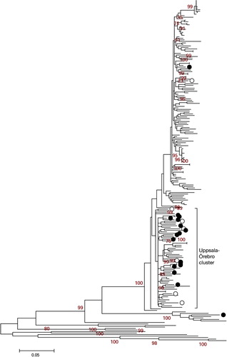 Fig. 3.  Uppsala-Örebro cluster. Maximum likelihood (ML) tree with genotype 1a/1b NS3 sequences displaying Uppsala patients (black rings; 16 genotype 1a and 1 genotype 1b) and Örebro patients (white rings; 7 genotype 1a) along with reference sequences from geographically separated areas. Only bootstrap-values above 60 are displayed. The Uppsala-Örebro cluster consisted of 15 Uppsala genotype 1a and 6 Örebro genotype 1a.