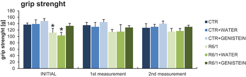 Figure 5. Grip strength measurement in HD mice by treated with genistein. HD mice (the R6/1 model) or control animals (the C57BL/6J line) were either untreated, treated with water, or treated with genistein (at the final dose of 150 mg/kg/day), starting from the age of 16 weeks. The tests were performed with mice at the age of 9, 18 and 26 weeks (marked as INITIAL, 1st measurement, and 2nd measurement, respectively). Results are shown as mean values from measurements performed with 6 mice in each group with error bars indicating SD. Statistically significant differences (at p < 0.05) relative to untreated control (CTR) mice and HD mice (the R6/1 line) are indicated by asterisks and hashtags, respectively.