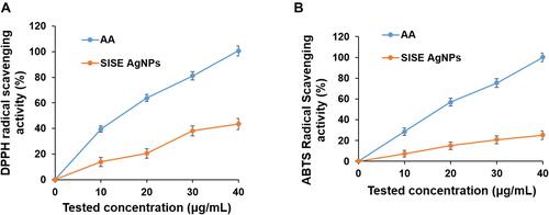 Figure 4 (A) DPPH radical scavenging and (B) ABTS activity of SISE AgNPs, in comparison with standard Ascorbic acid (AA).