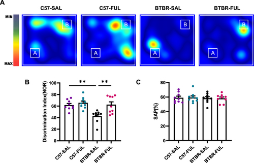 Figure 4 Fullerenols improved short-term memory deficits in BTBR mice without affecting working memory. (A) Representative heat maps show the time C57 and BTBR mice spent exploring objects in a novel object recognition task. “A” and “B” represent familiar and novel objects. (B) The recognition index of BTBR mice was lower than that of C57 mice, which was reversed by fullerenols treatment. (C) There was no significant difference in SAPs in the Y-maze test among the four groups. Data are presented as mean ± SEM. N = 9. **P < 0.01.