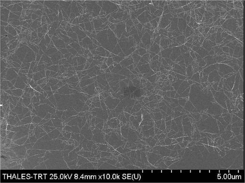 Figure 2. SEM picture of a CNT mat dispersed on a substrate after having been sonicated for three hours and centrifuged at 3000 rpm (2 times 10 minutes).