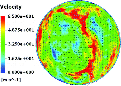 FIG. 6 Magnitude of instantaneous velocities and 2-D velocity plot at the exit of mouthpiece (from LES simulation).