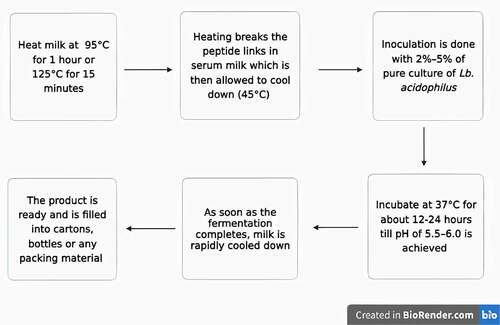 Figure 2. Steps involved in making of acidophilus milk