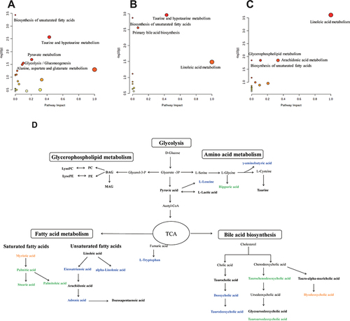 Figure 7 The altered metabolomic pathways associated with potential biomarkers for CAR- (A), APR-(B), ACB-(C) treatment using MetaboAnalyst 5.0, and schematic overview of metabolic pathways interrupted by AR treatment (D). Metabolites with name shown in blue, green and Orange were significantly altered only in CAR-, ARP- and ACB-treated group, respectively.