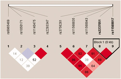 Figure 1. LD block composed of SNPs of EGF and EGFR in kidney transplant patients with and without acute rejection episodes. Linkage disequilibrium block composed of single nucleotide polymorphisms of epidermal growth factor and epidermal growth factor receptor genes in kidney transplant patients with and without acute rejection episodes.